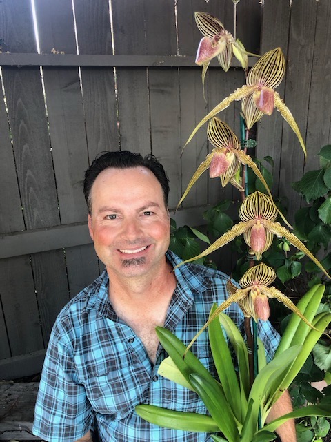 orchid picture