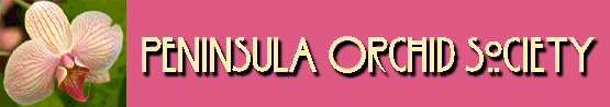 POS Banner